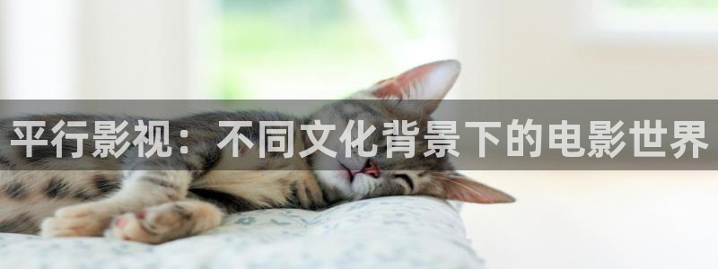 蜜桃影视红桃影院