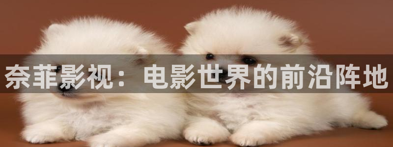 蜜桃视频在线观看不卡