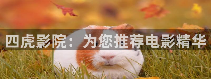 蜜桃成熟时欧美片：四虎影院：为您推荐电影精华